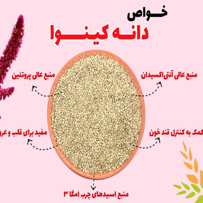 دانه کینوا سفید خارجی اعلا (500 گرمی)